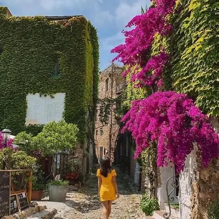 La Casa Di Vasco Bussana Vecchia Appartement *